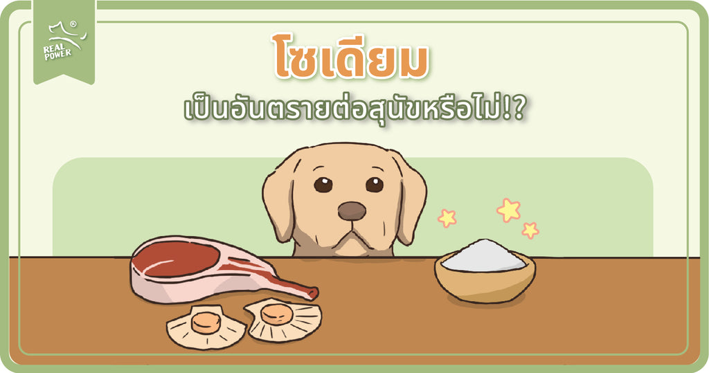 โซเดียมเป็นอันตรายต่อสุนัขหรือไม่?