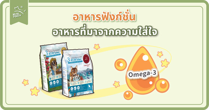 อาหารฟังก์ชั่น : อาหารที่มาจากความใส่ใจ