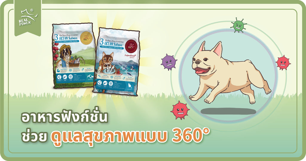 อาหารฟังก์ชั่น : ดูแลสุขภาพแบบ 360°