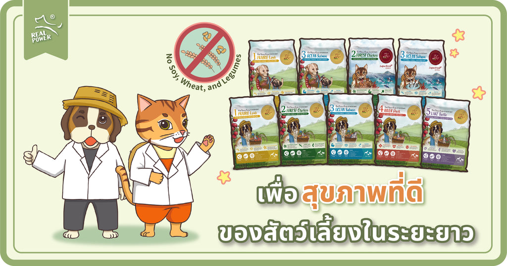 ทำไมเราถึงไม่ใช้ถั่วเหลือง ข้าวสาลี และพืชตระกูลถั่ว