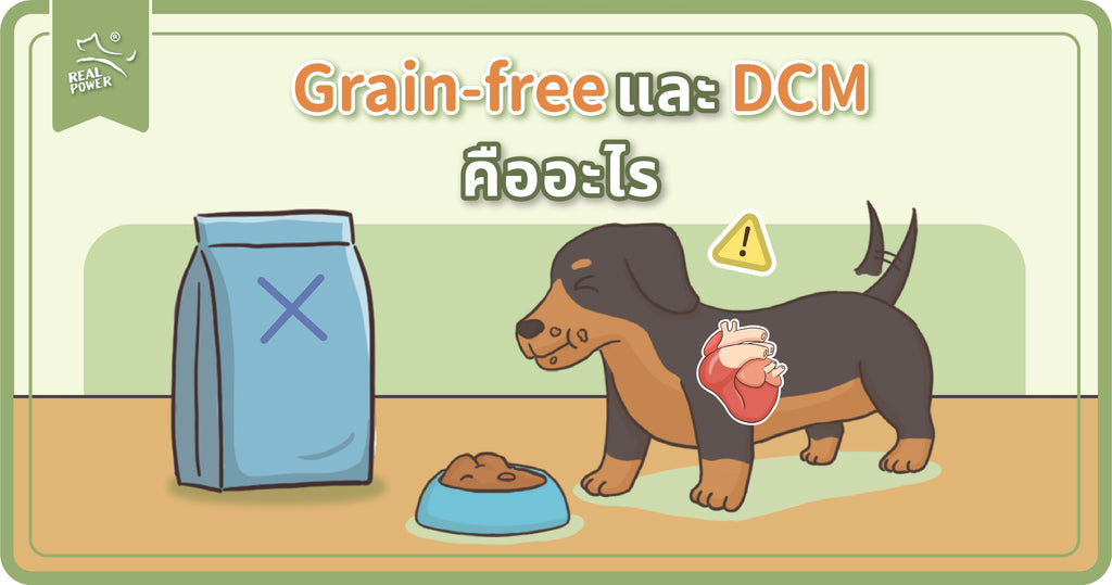 Grain-free และ DCM คืออะไร? ในมุมของของนักโภชนาการสัตว์