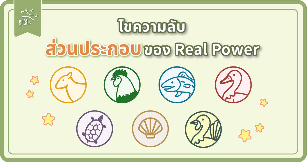ส่วนประกอบอาหารสัตว์เลี้ยง REAL POWER